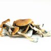 Buy Brazilian Magic Mushroom Online