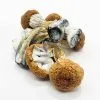 Blue Meanie Mushrooms – potent psilocybin strain with strong visuals sold by PsychedelicHub.shop