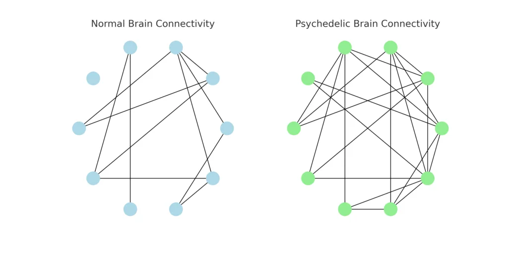 Brain connectivity graph