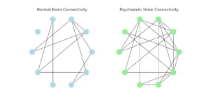 Brain connectivity graph
