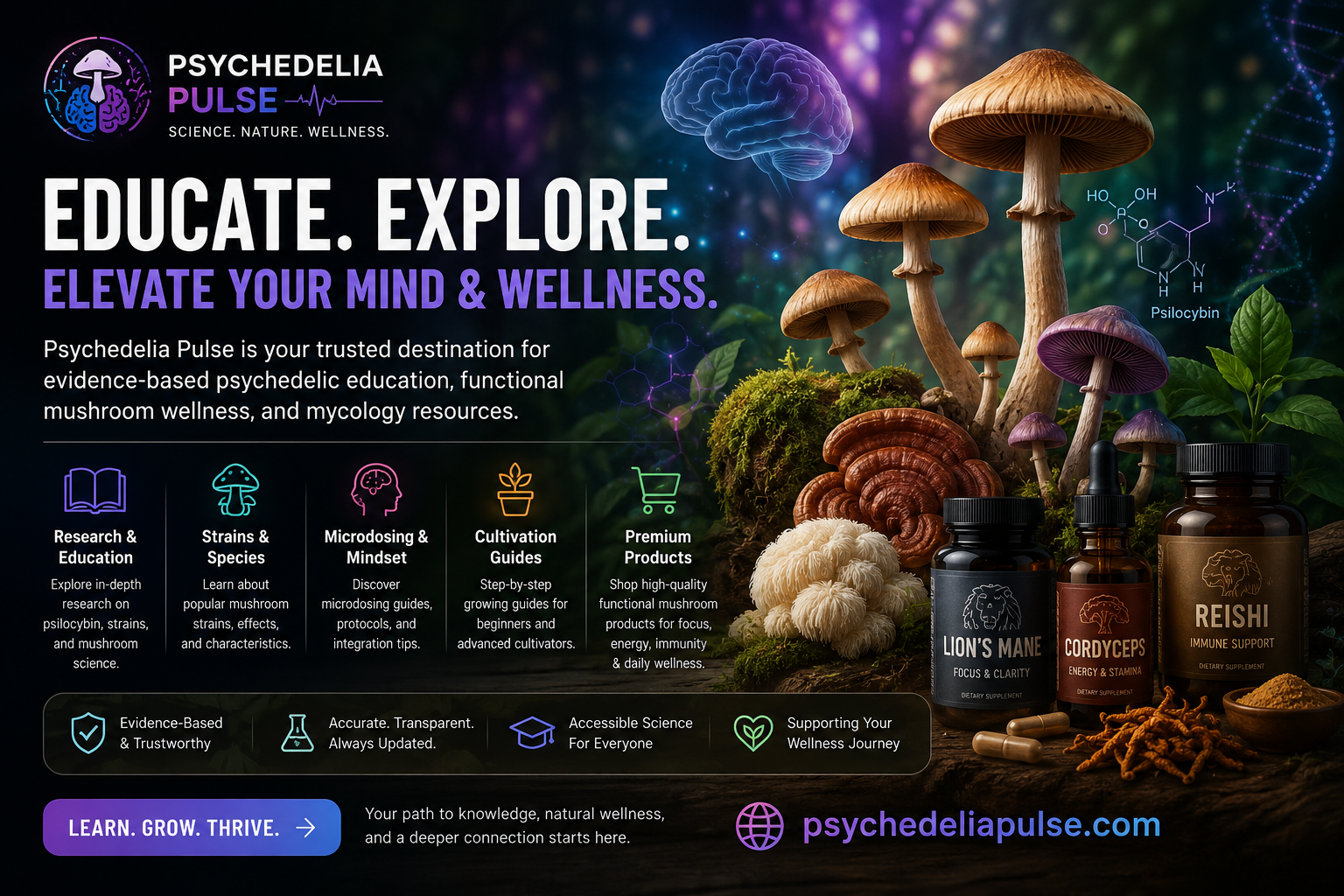 Psychedelic Research, Mushrooms & Mental Wellness