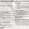 Blue Oyster Mushroom Grow Kit: Ultimate Guide for Beginners