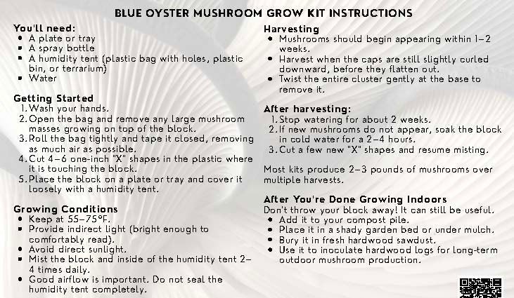 Blue Oyster Mushroom Grow Kit: Ultimate Guide for Beginners Blue Oyster Mushroom Grow Kit: Ultimate Guide for Beginners