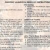 Organic Chestnut Mushroom Growing Kit