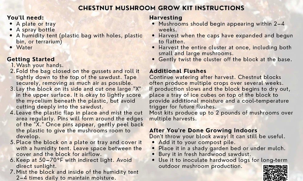 Organic Chestnut Mushroom Growing Kit Organic Chestnut Mushroom Growing Kit